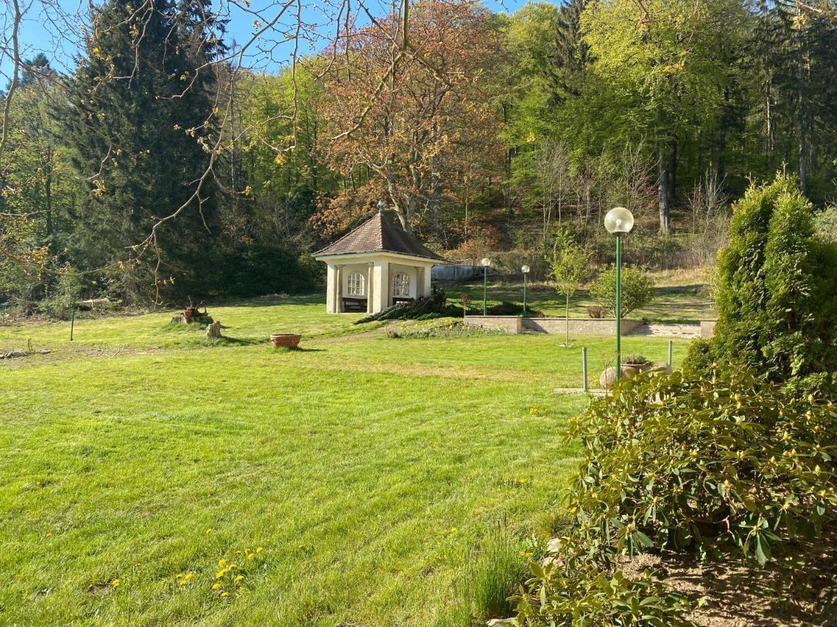 Parkhotel Bad Harzburg Luaran gambar