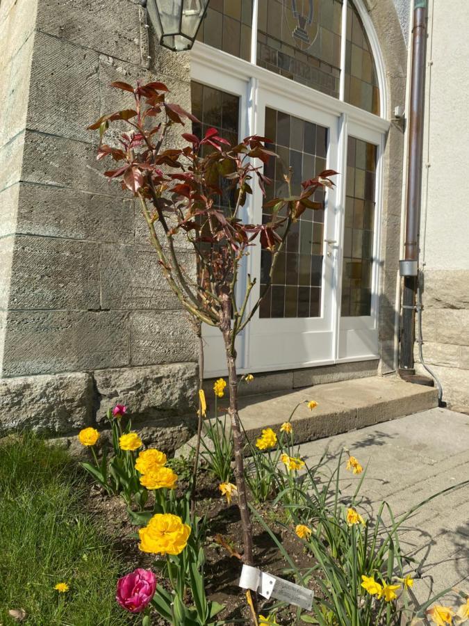 Parkhotel Bad Harzburg Luaran gambar