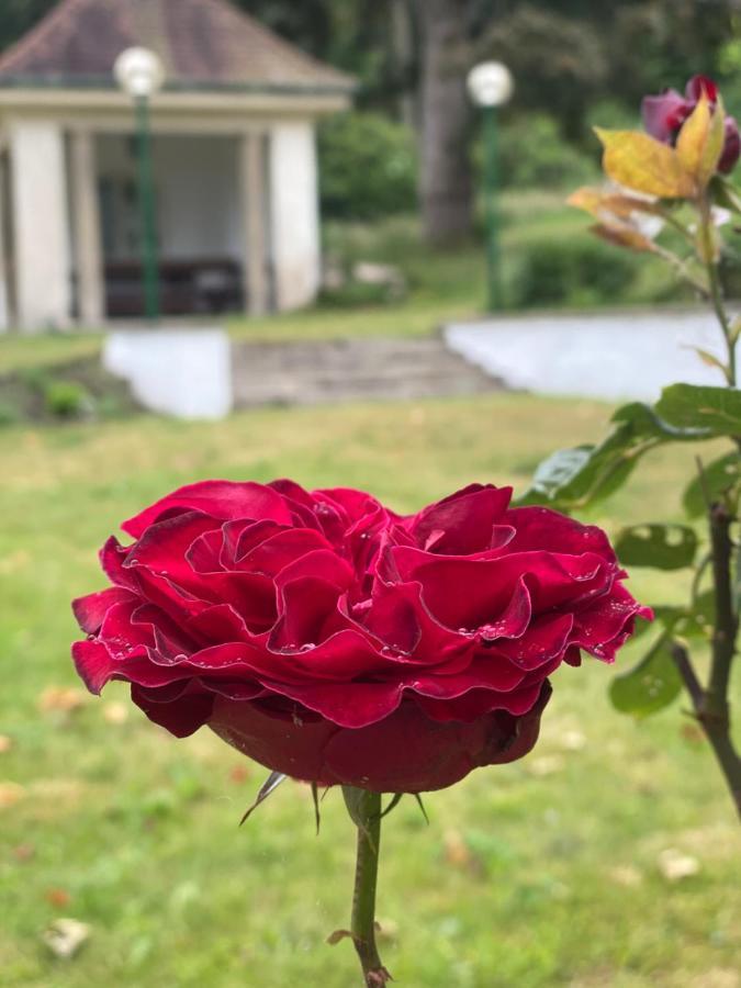 Parkhotel Bad Harzburg Luaran gambar