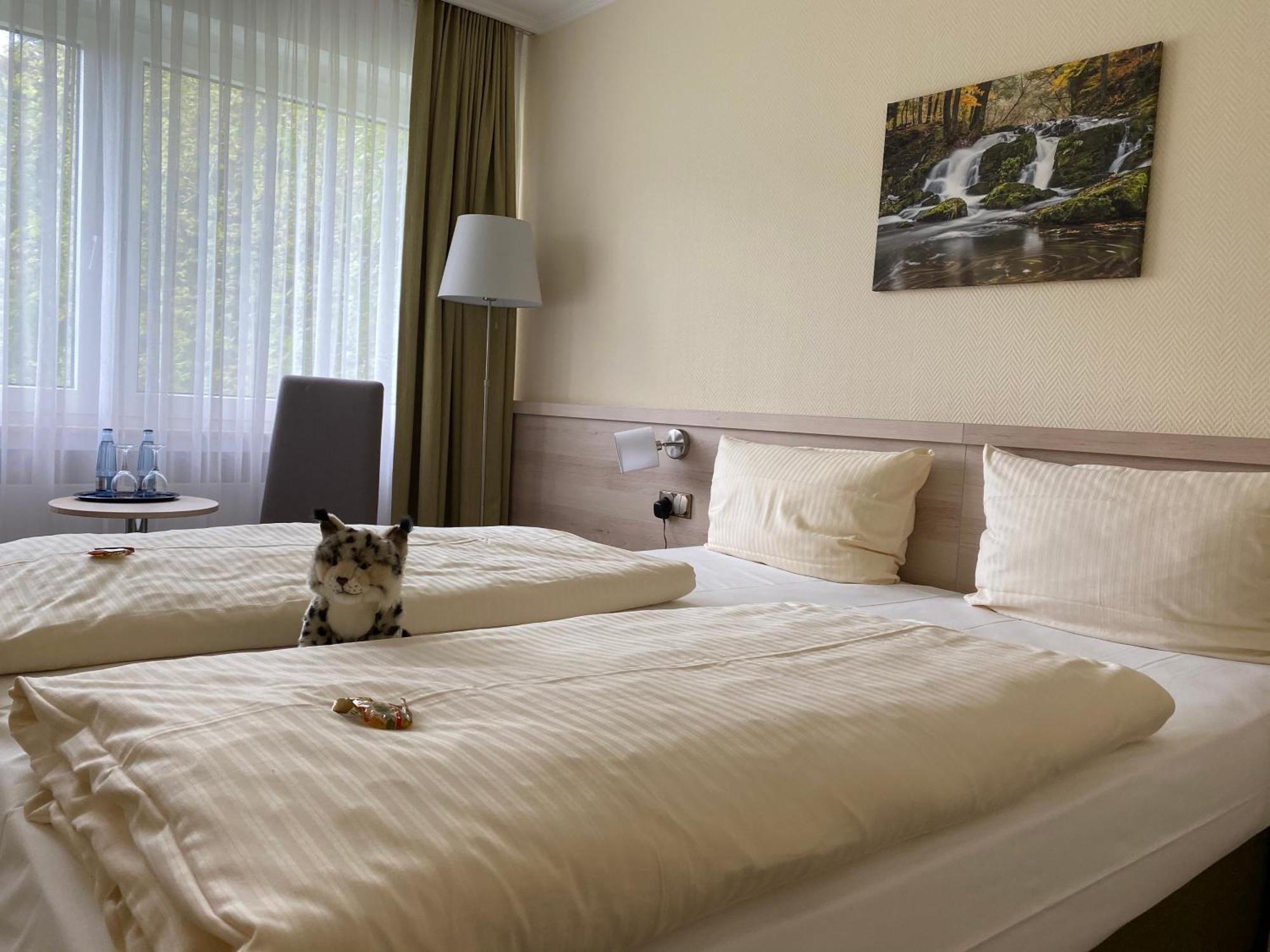 Parkhotel Bad Harzburg Luaran gambar